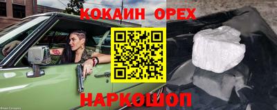 прущие грибы Новозыбков