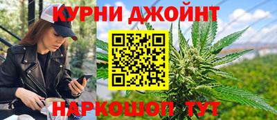 прущие грибы Новозыбков