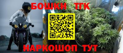 молекула духа Новодвинск
