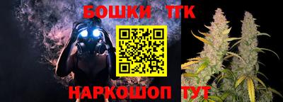 прущие грибы Новозыбков