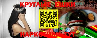 прущие грибы Новозыбков
