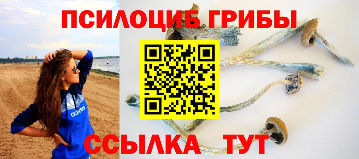 Галлюциногенные грибы прущие грибы Татарск