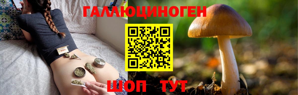 сколько стоит  Псилоцибиновые грибы ЛСД  Псилоцибиновые грибы Magic Shrooms  Вход с VPN  Татарск 